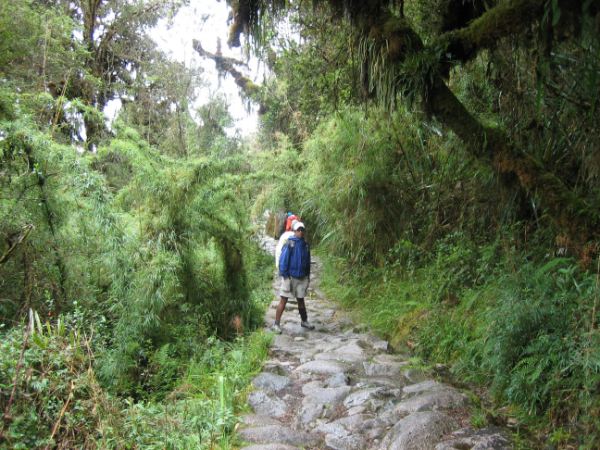 Foto mit dem Inka Trail im Bergnebelwald in den subtropischen Anden.